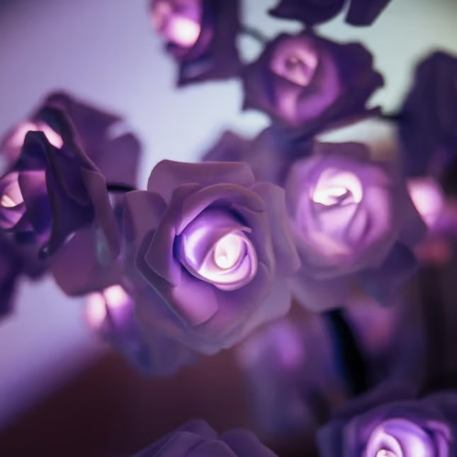 Forever Rosenbaum Lampe